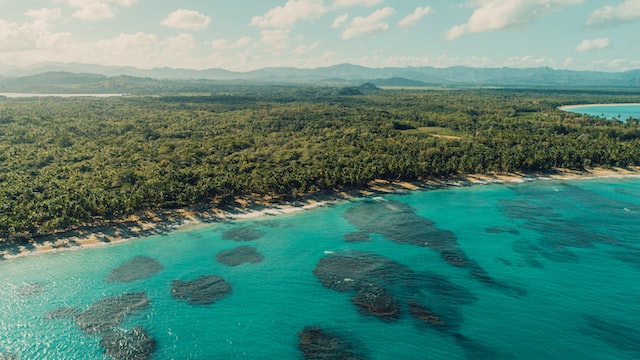 playa republica dominicana